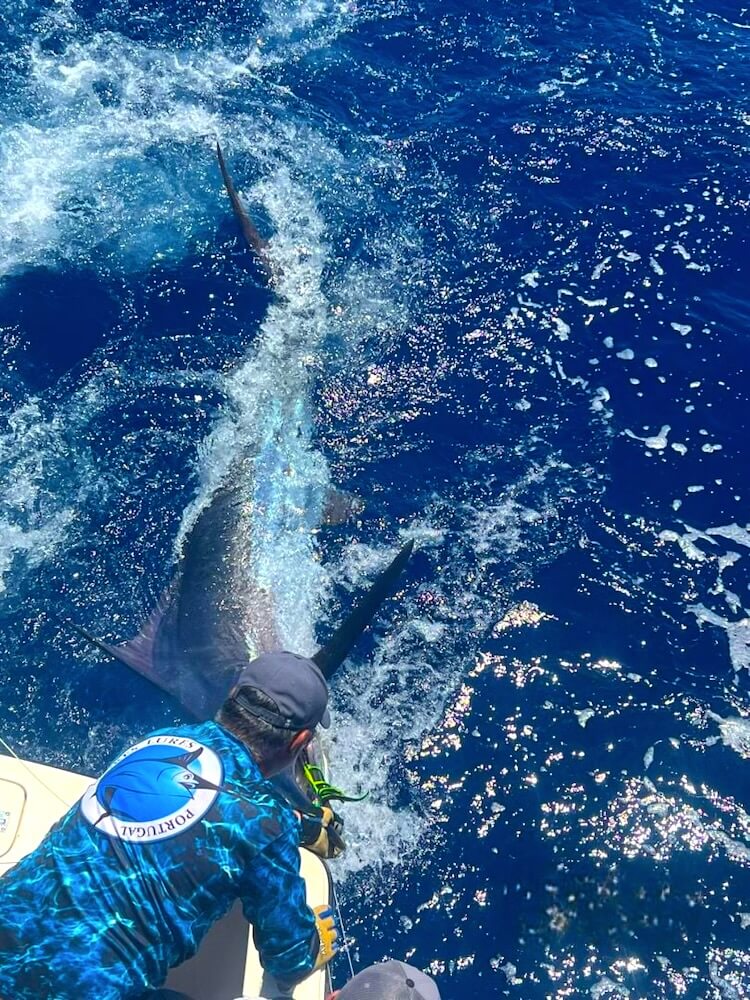 Big Game Fishing Marlin