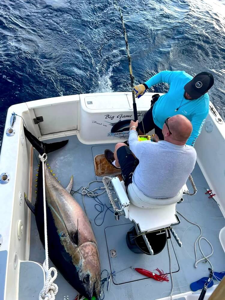 Big Game Tuna Big Game Tuna